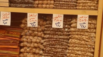 تخفيضات رمضان بلح وتمور تصل إلى 20% في معارض التموين